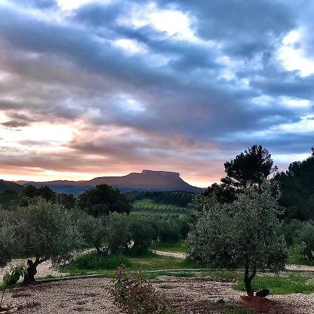 Casa Rural Cortijo La Ajedrea Силес Экстерьер фото