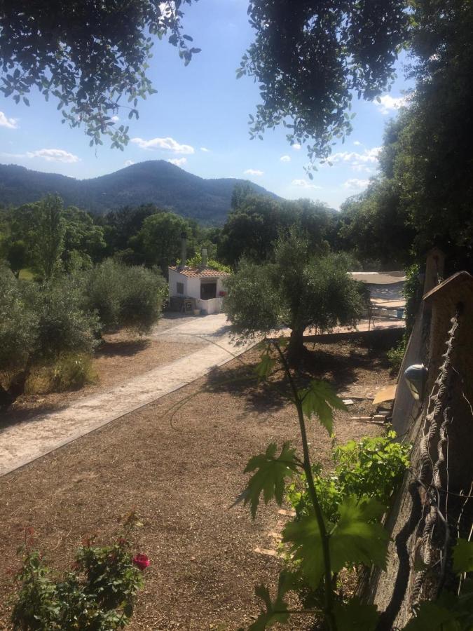 Casa Rural Cortijo La Ajedrea Силес Экстерьер фото
