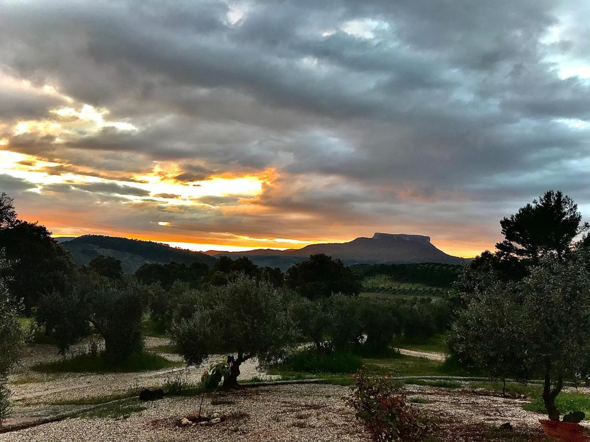 Casa Rural Cortijo La Ajedrea Силес Экстерьер фото